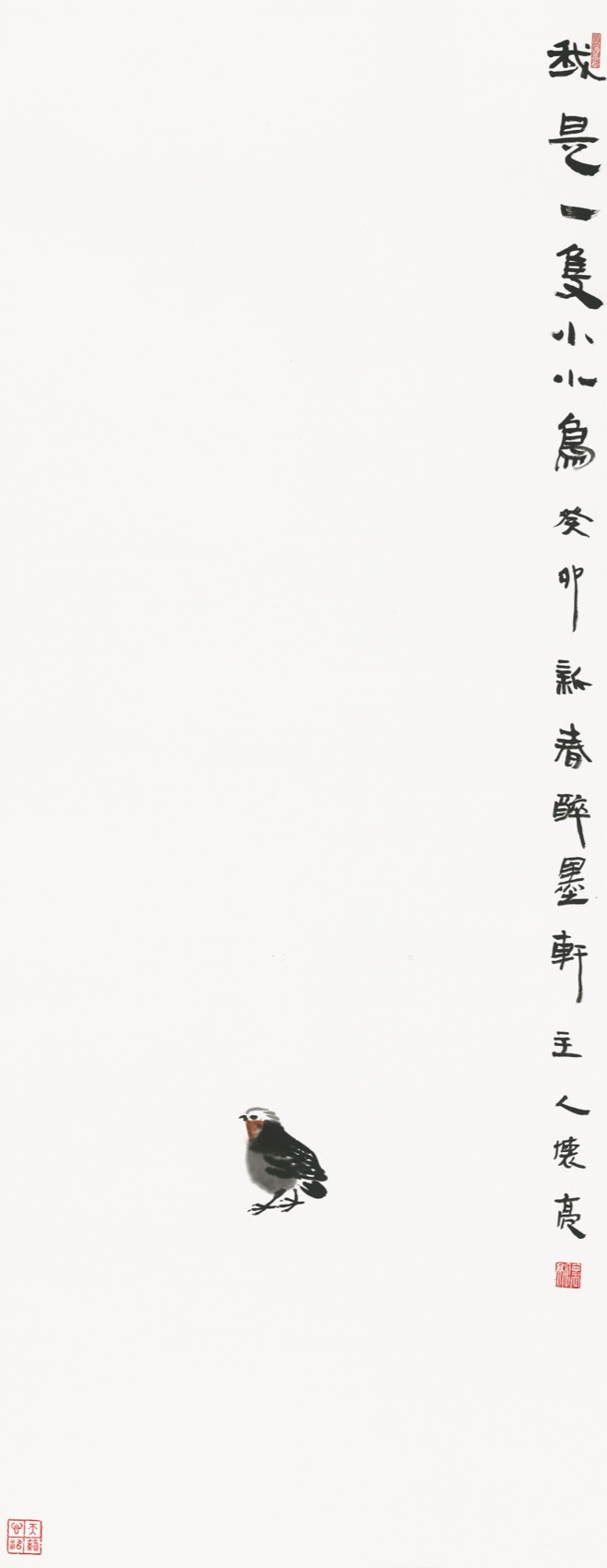 I Am a Little Bird 我是一只小小鸟