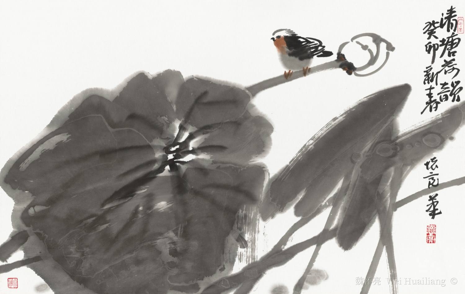 Lotus Charm on a Clear Pond 清塘荷韵