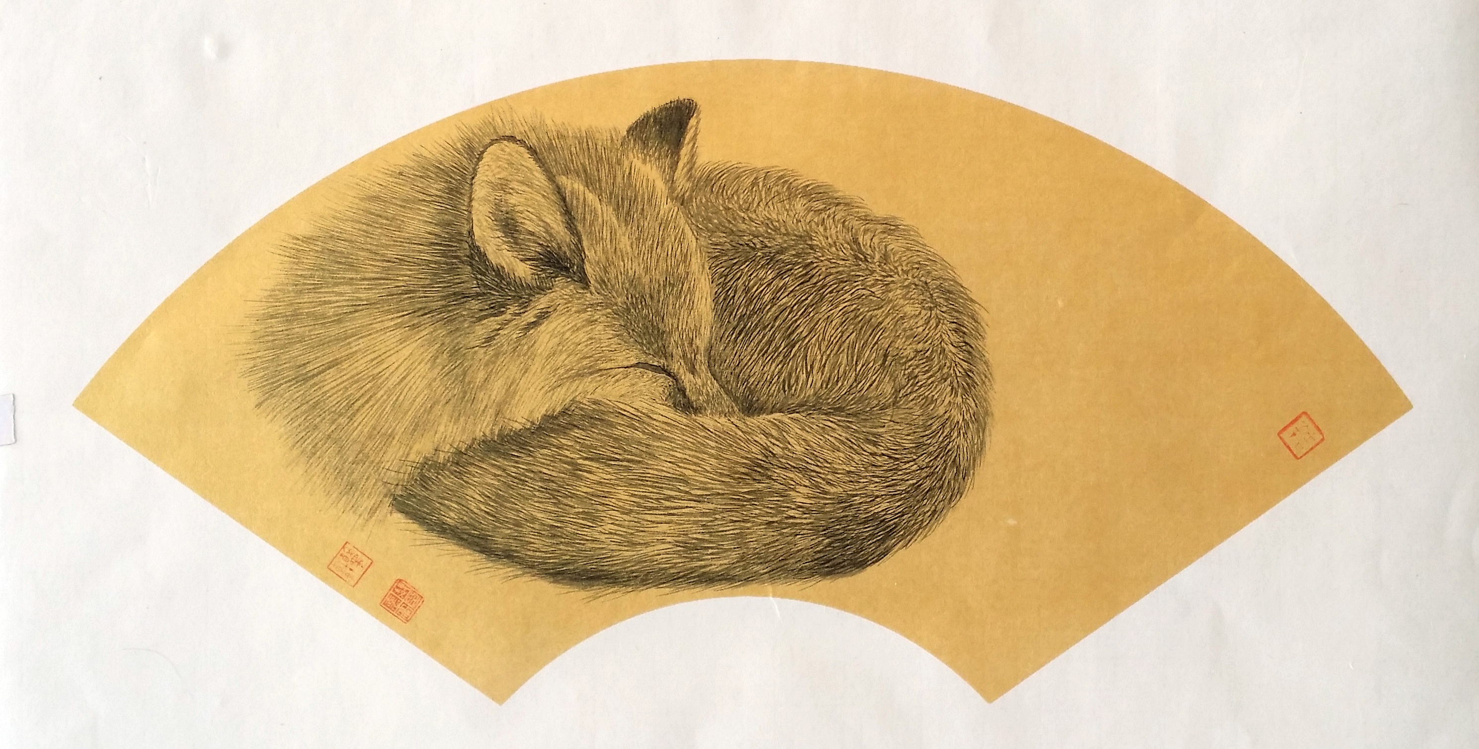 Dwellers in the Valley · Curled in Sleep 山谷里的居民·蜷眠