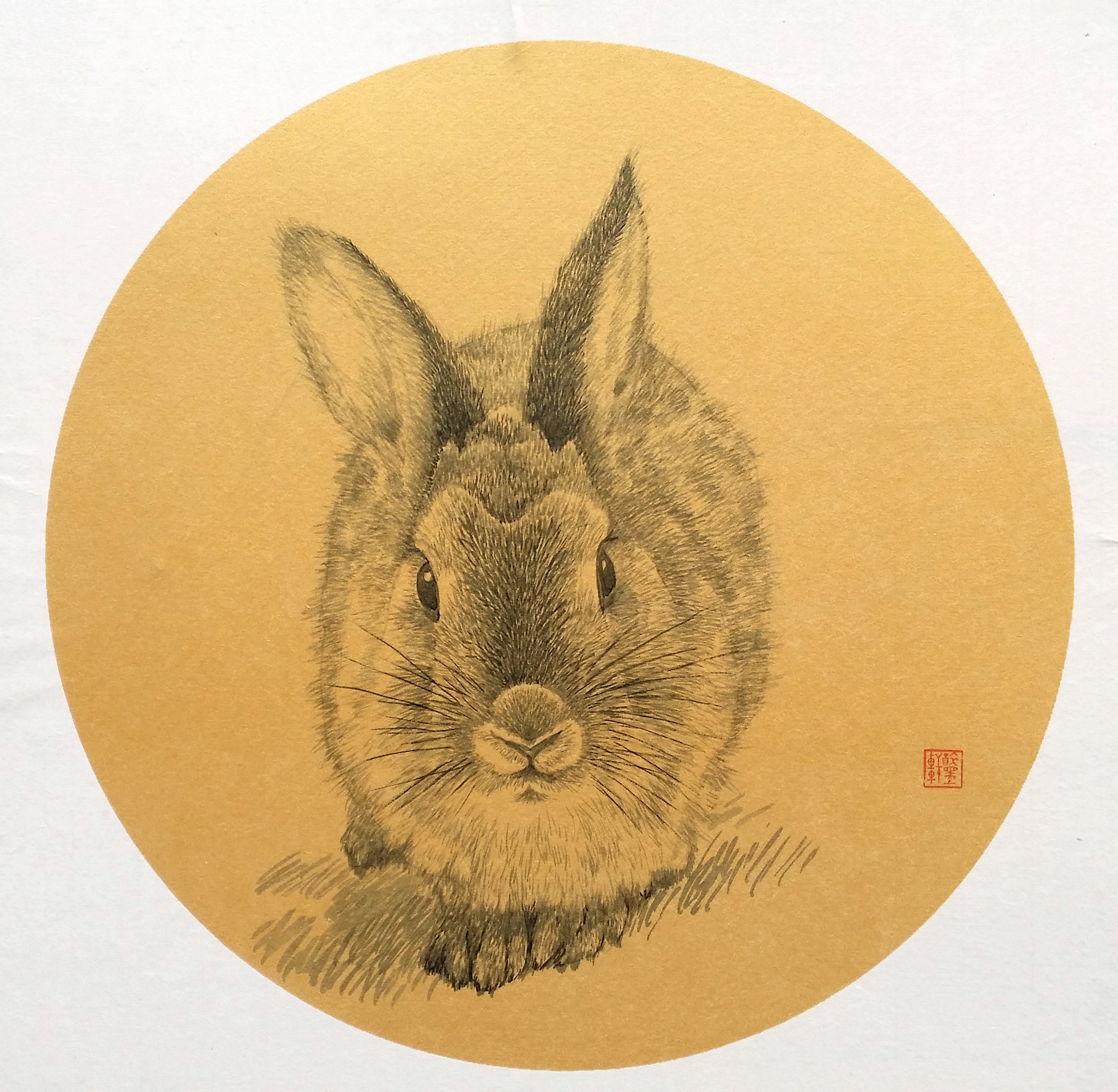 Dwellers in the Valley · Hare 山谷里的居民·兔